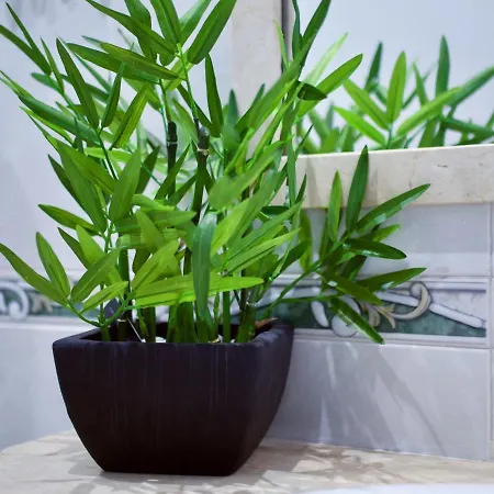 公寓 Playa Alcaravaneras 大加那利岛拉斯帕尔马斯