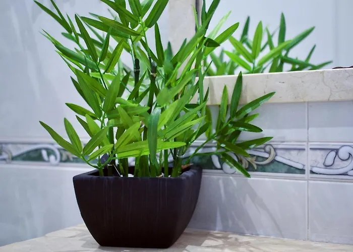 Апартаменты Playa Alcaravaneras Лас-Пальмас-де-Гран-Канария